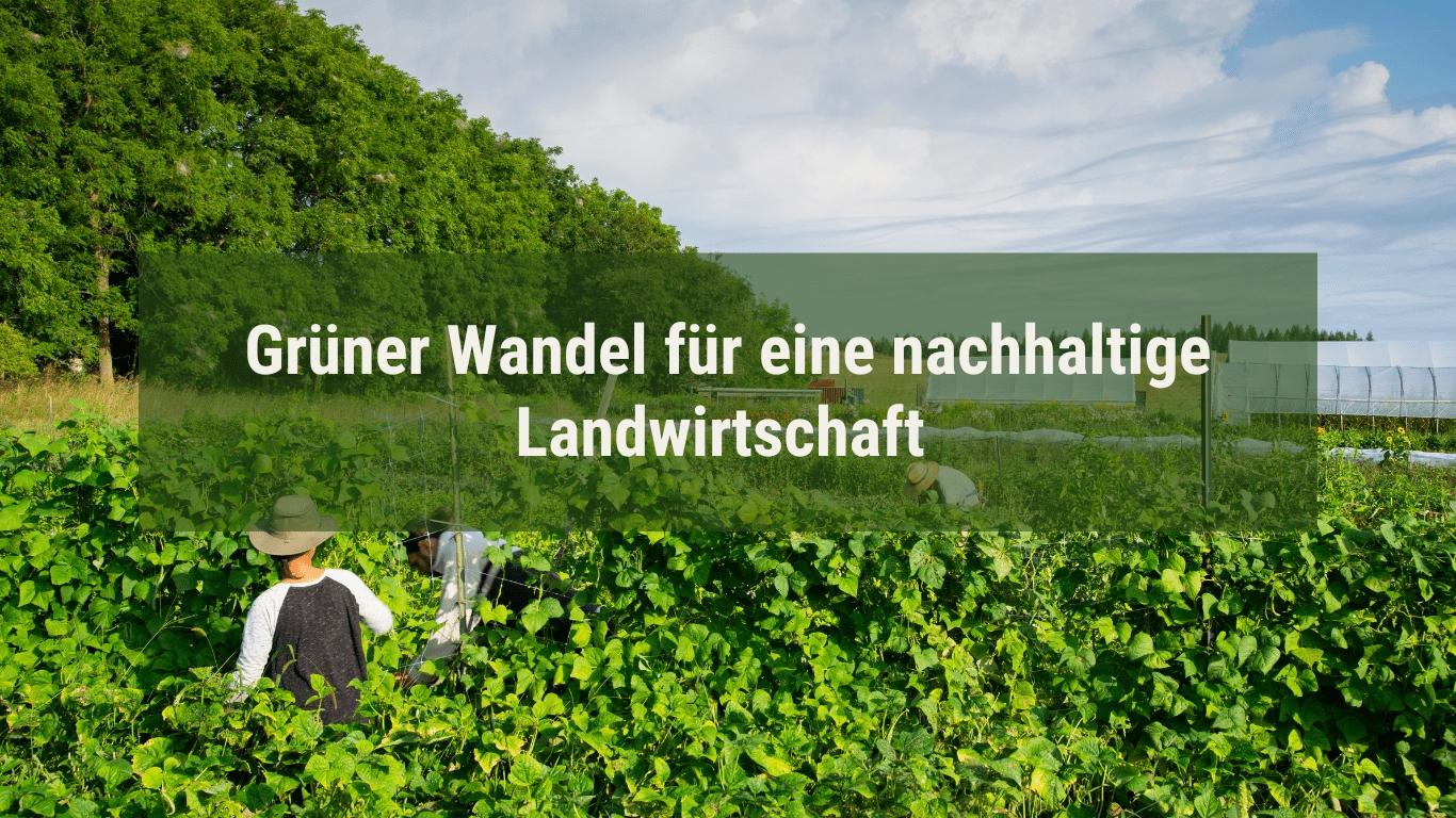 (Die Bildrechte liegen bei dem Verfasser der Mitteilung.)