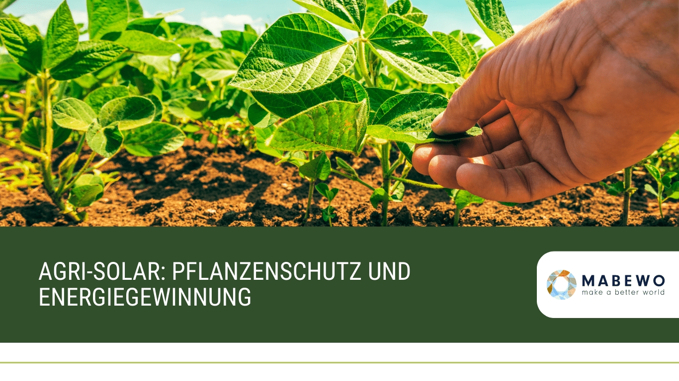 (Die Bildrechte liegen bei dem Verfasser der Mitteilung.) (Die Bildrechte liegen bei dem Verfasser der Mitteilung.)