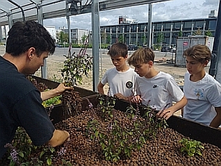 Schüler:innen der Bischöflichen Marienschule Mönchengladbach zu Besuch bei Urban Nature, Foto: Corne