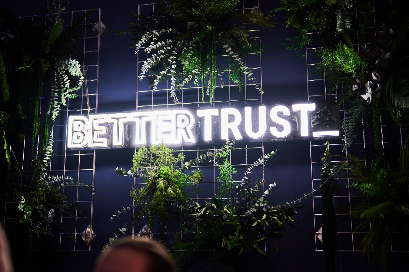 (Die Bildrechte liegen bei dem Verfasser der Mitteilung.) (Die Bildrechte liegen bei dem Verfasser der Mitteilung.)