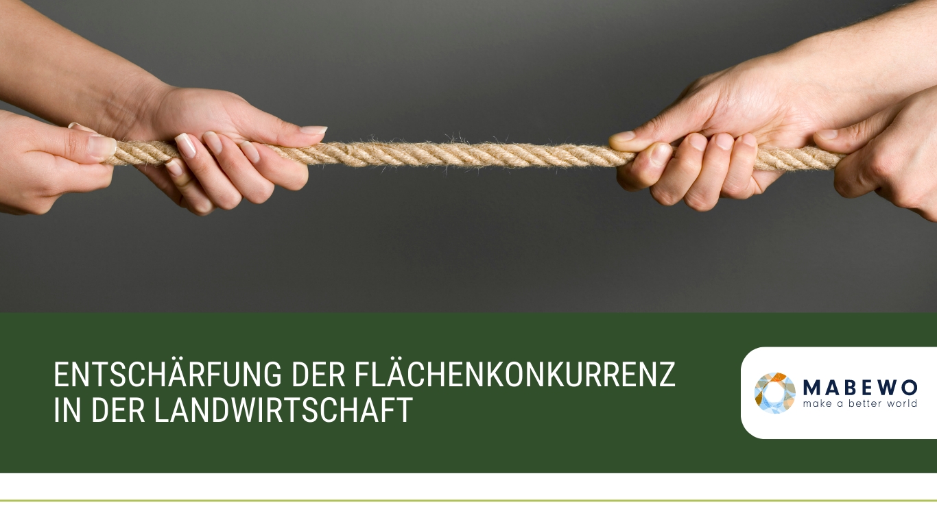 (Die Bildrechte liegen bei dem Verfasser der Mitteilung.) (Die Bildrechte liegen bei dem Verfasser der Mitteilung.)