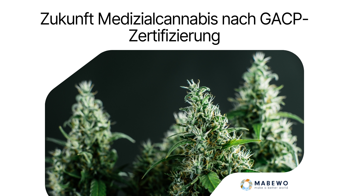 (Die Bildrechte liegen bei dem Verfasser der Mitteilung.) (Die Bildrechte liegen bei dem Verfasser der Mitteilung.)