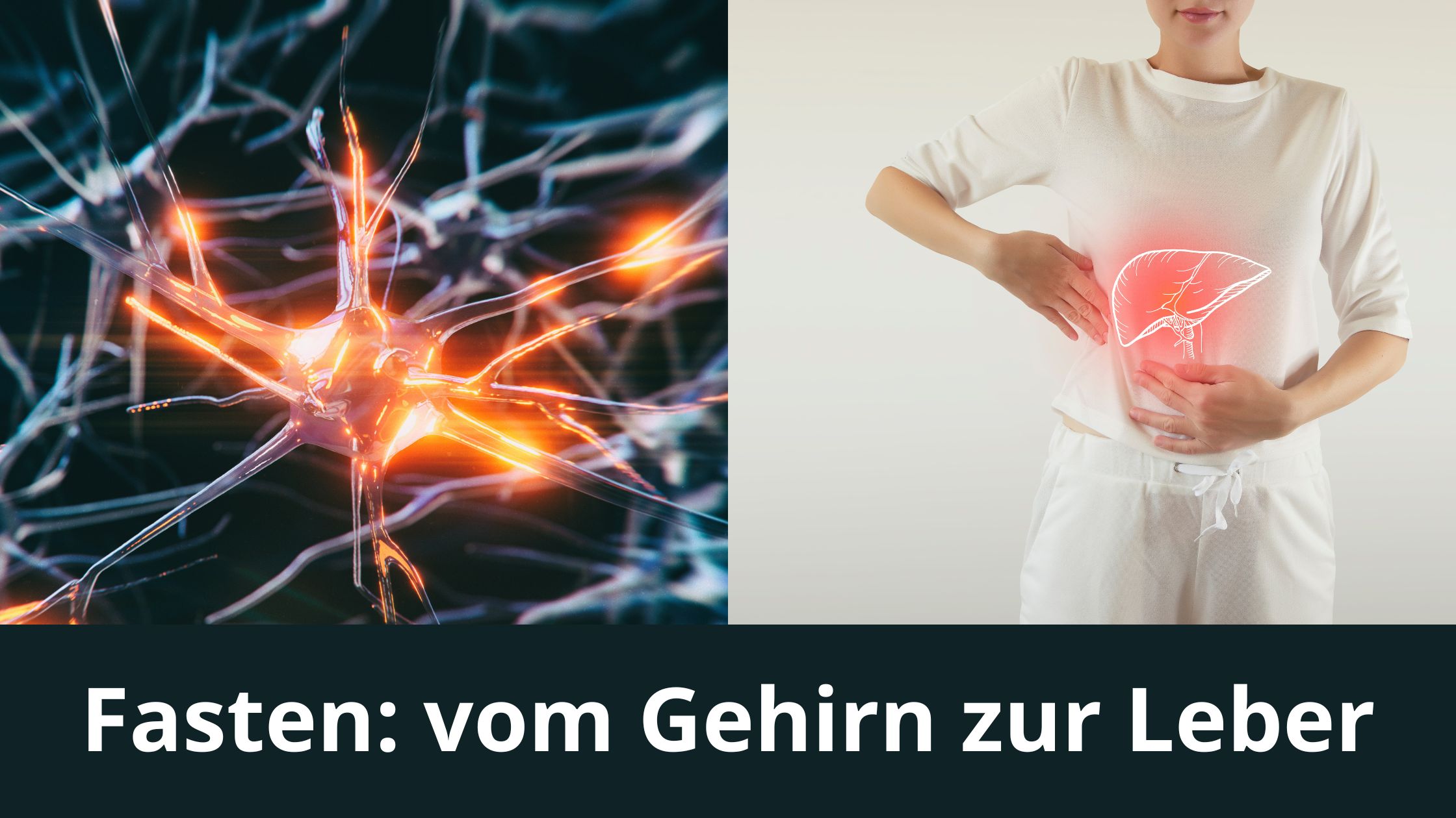 Fasten: vom Gehirn zur Leber / Redaktion bioresonanz-zukunft.de (Die Bildrechte liegen bei dem Verfasser der Mitteilung.) Fasten: vom Gehirn zur Leber / Redaktion bioresonanz-zukunft.de (Die Bildrechte liegen bei dem Verfasser der Mitteilung.)