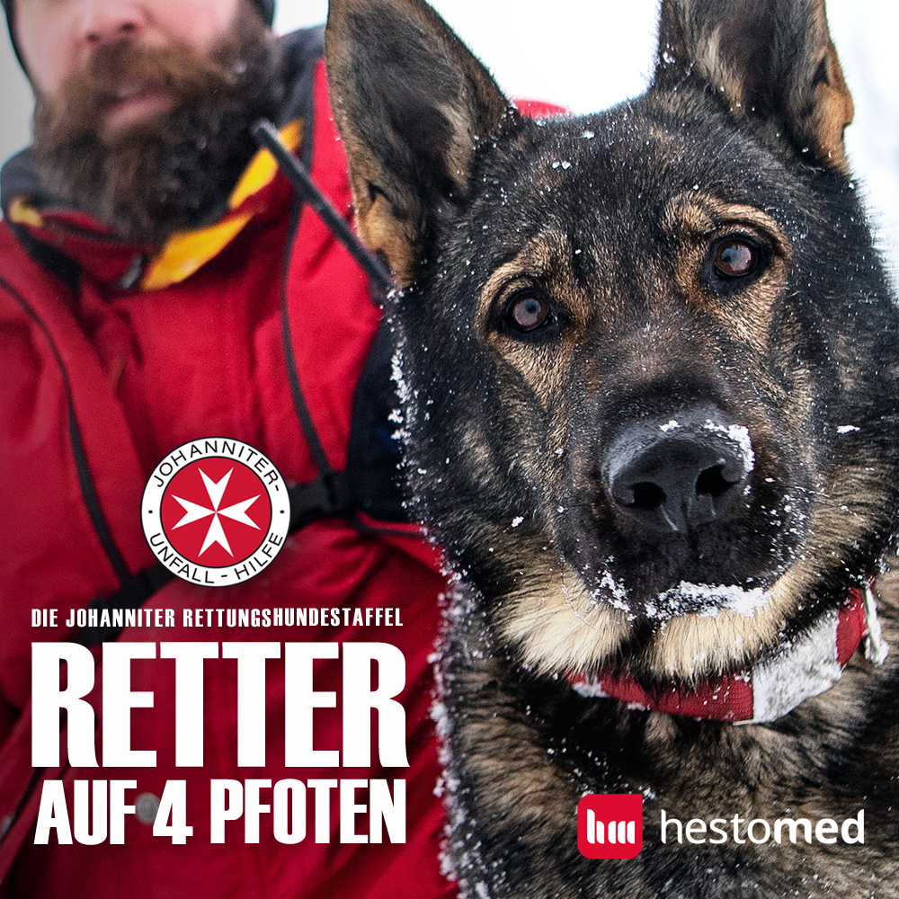 hestomed-Report: Die Johanniter-HundestaffelHunde retten Menschen. Krisengebiet, Fläche, Trümmer. (Die Bildrechte liegen bei dem Verfasser der Mitteilung.) hestomed-Report: Die Johanniter-HundestaffelHunde retten Menschen. Krisengebiet, Fläche, Trümmer. (Die Bildrechte liegen bei dem Verfasser der Mitteilung.)