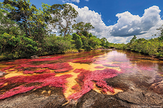 Der Caño Cristales wird oft auch flüssiger Regenbogen genannt. Foto: © sunsinger – stock.adobe.com Der Caño Cristales wird oft auch flüssiger Regenbogen genannt. Foto: © sunsinger – stock.adobe.com