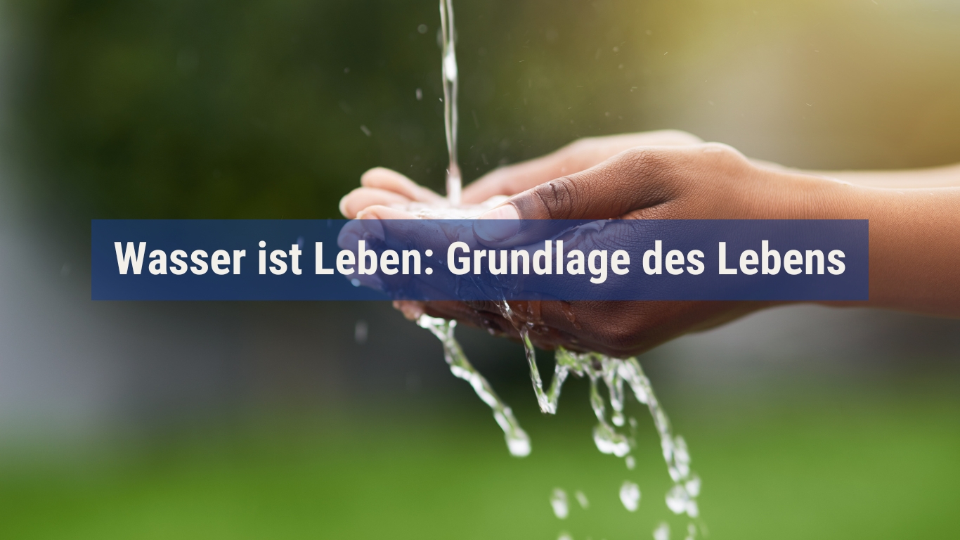 (Die Bildrechte liegen bei dem Verfasser der Mitteilung.) (Die Bildrechte liegen bei dem Verfasser der Mitteilung.)