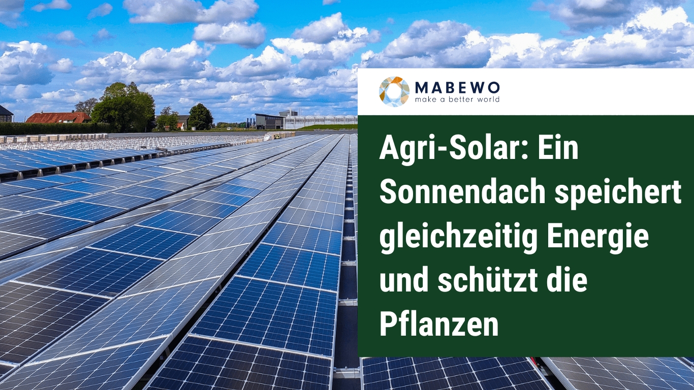 (Die Bildrechte liegen bei dem Verfasser der Mitteilung.) (Die Bildrechte liegen bei dem Verfasser der Mitteilung.)