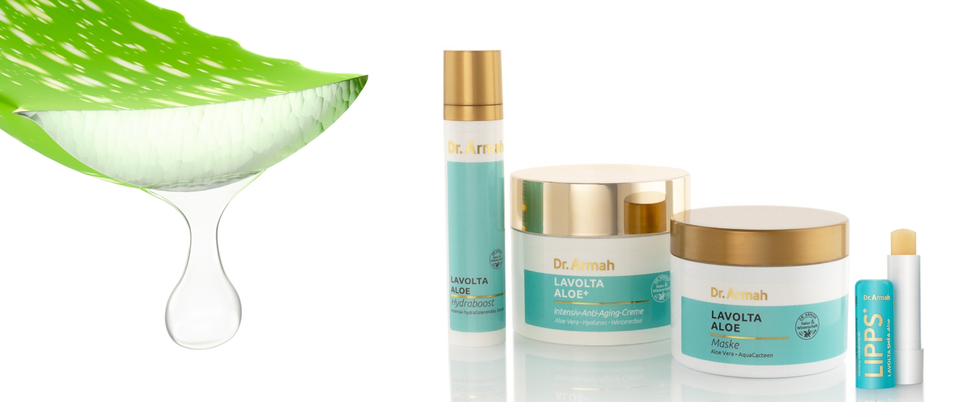 Aloe Vera - ein Durstlöscher für die Haut (Die Bildrechte liegen bei dem Verfasser der Mitteilung.)