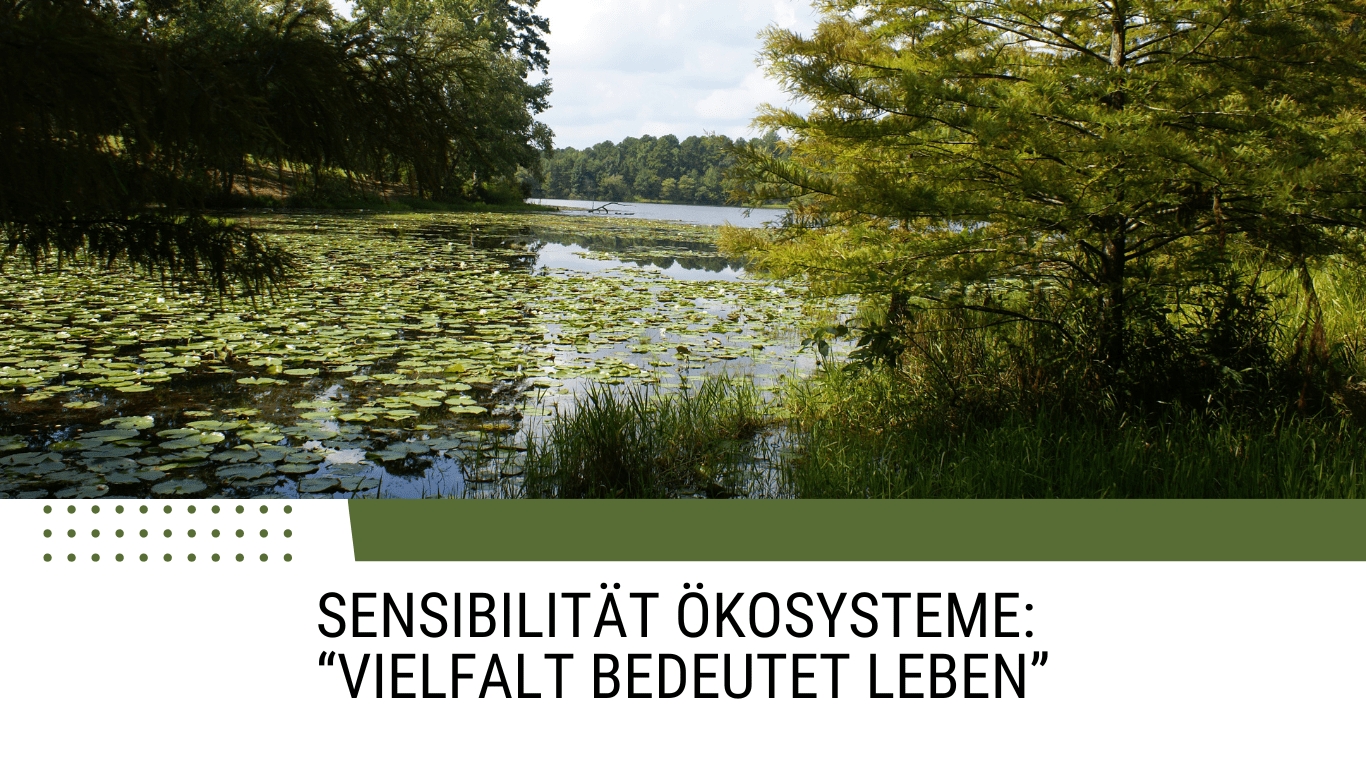 (Die Bildrechte liegen bei dem Verfasser der Mitteilung.) (Die Bildrechte liegen bei dem Verfasser der Mitteilung.)