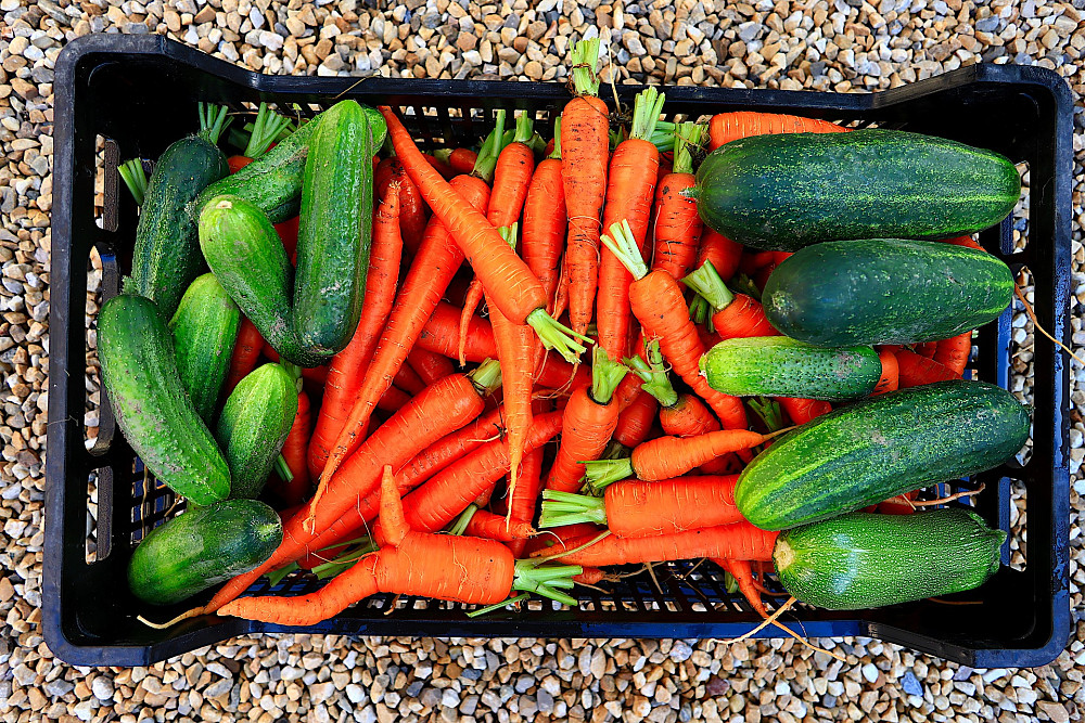 (Bildquelle: Pixabay)