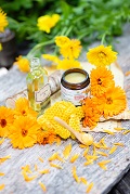 Die Ringelblumencreme von SonnenMoor sollte man haben (SonnenMoor)