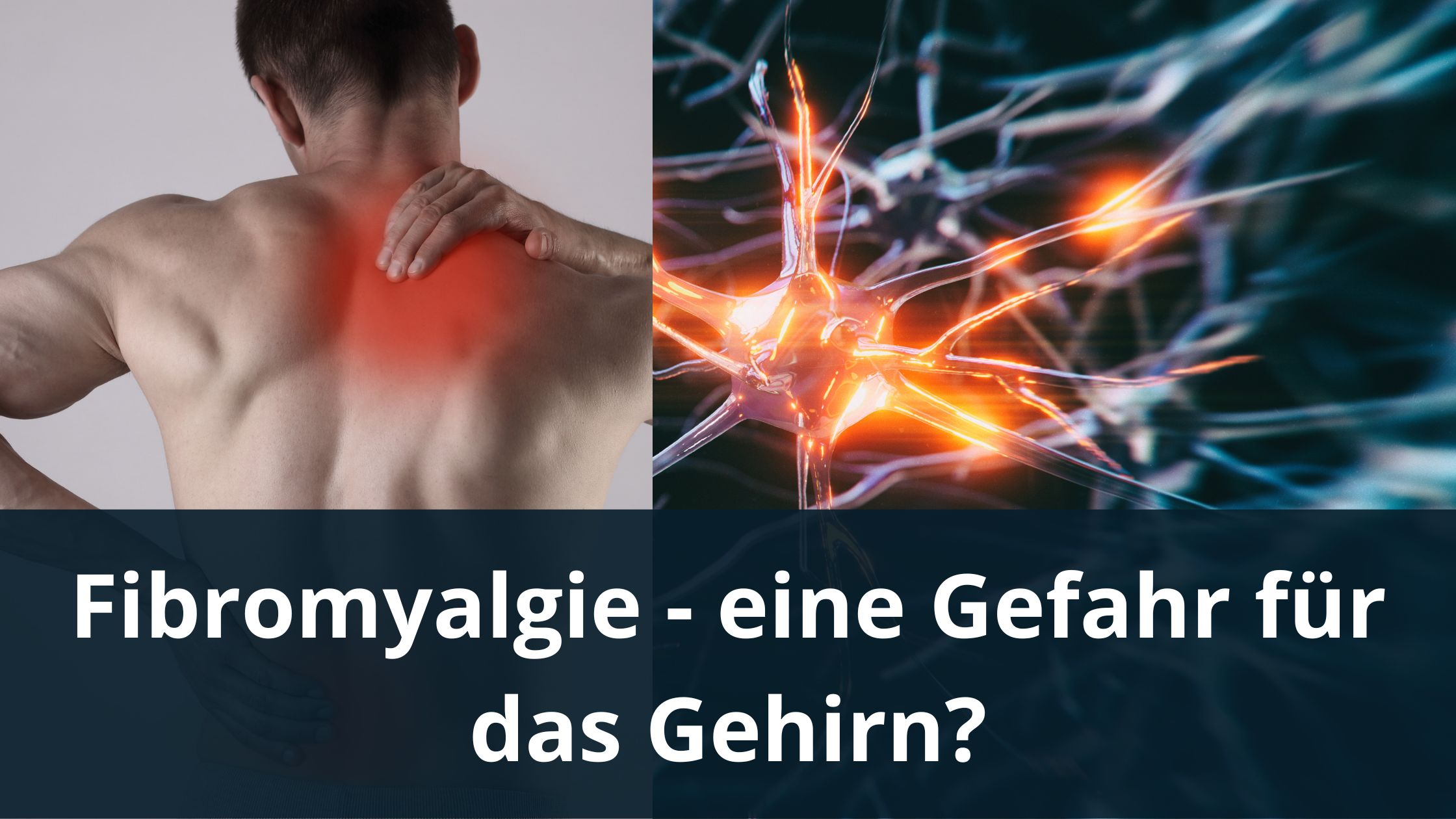Fibromyalgie - eine Gefahr für das Gehirn? / Redaktion bioresonanz-zukunft.de (Die Bildrechte liegen bei dem Verfasser der Mitteilung.)