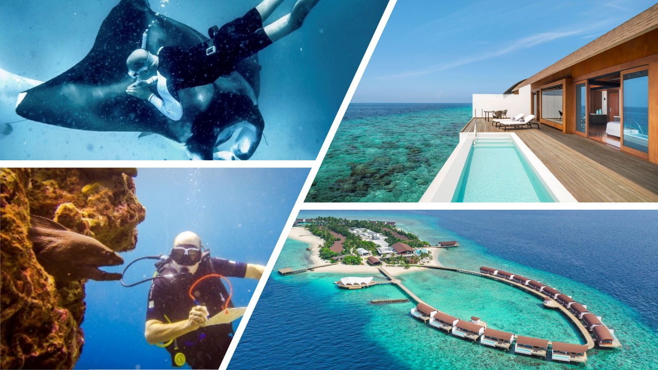 (Bildquelle: Marriott International) (Bildquelle: Marriott International)