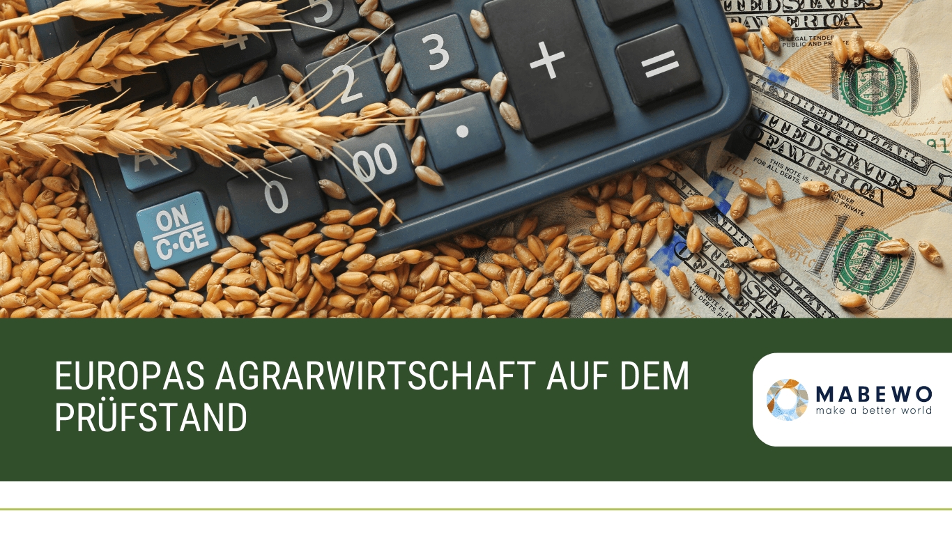 (Die Bildrechte liegen bei dem Verfasser der Mitteilung.) (Die Bildrechte liegen bei dem Verfasser der Mitteilung.)