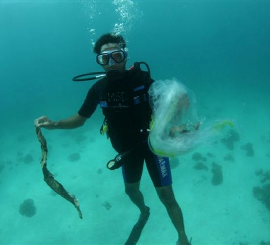Aruba: Reef Care Project-Initiator erhält königlichen Verdienstorden