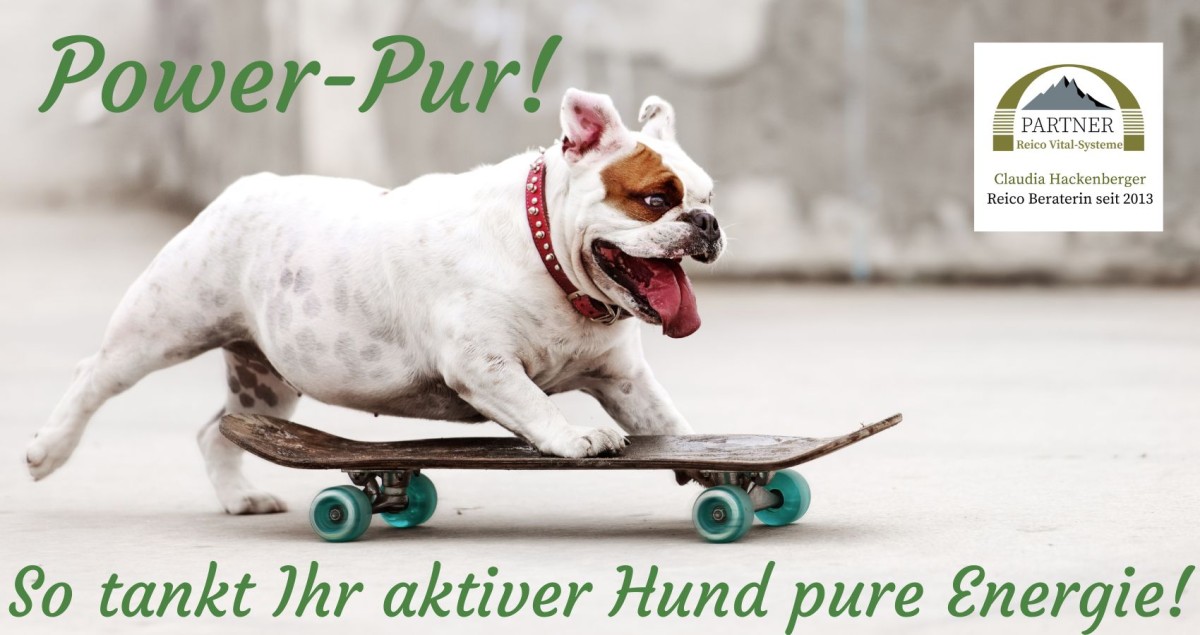 (© )Claudia Hackenberger