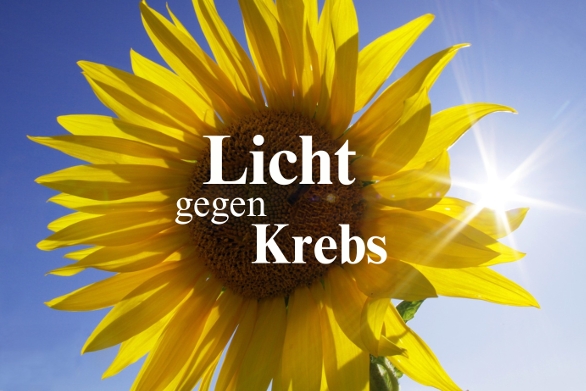 (Die Bildrechte liegen bei dem Verfasser der Mitteilung.) (Die Bildrechte liegen bei dem Verfasser der Mitteilung.)