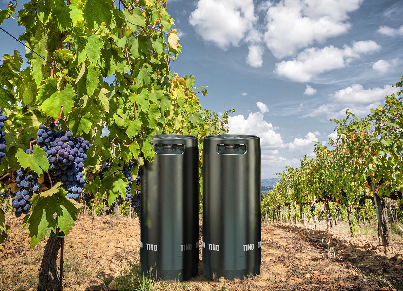 KEGs aus Edelstahl von SCHÄFER Container Systems zur Vermarktung von Wein.