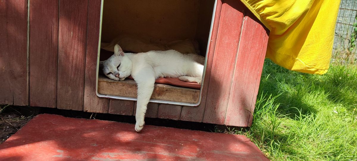 (Die Bildrechte liegen bei dem Verfasser der Mitteilung.)