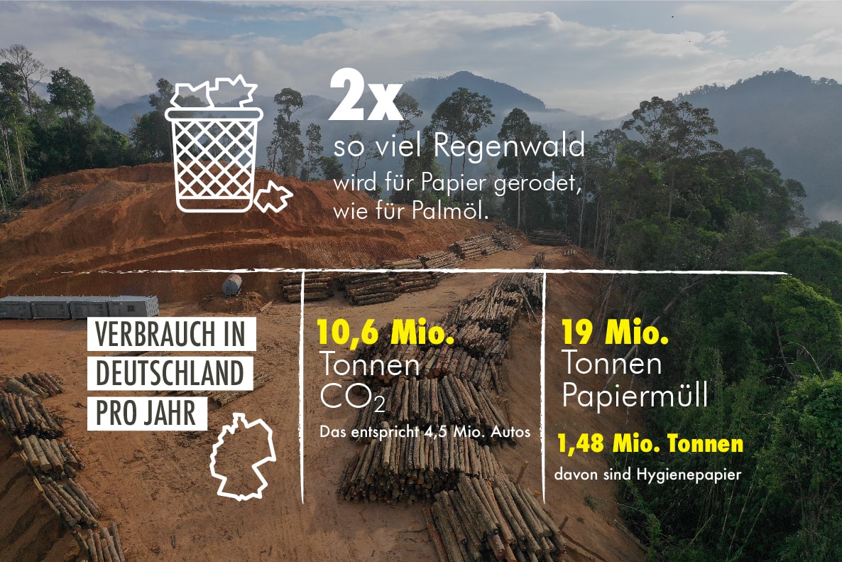 Infografik: Papierverbrauch in Deutschland (Bildquelle: Dyson GmbH)