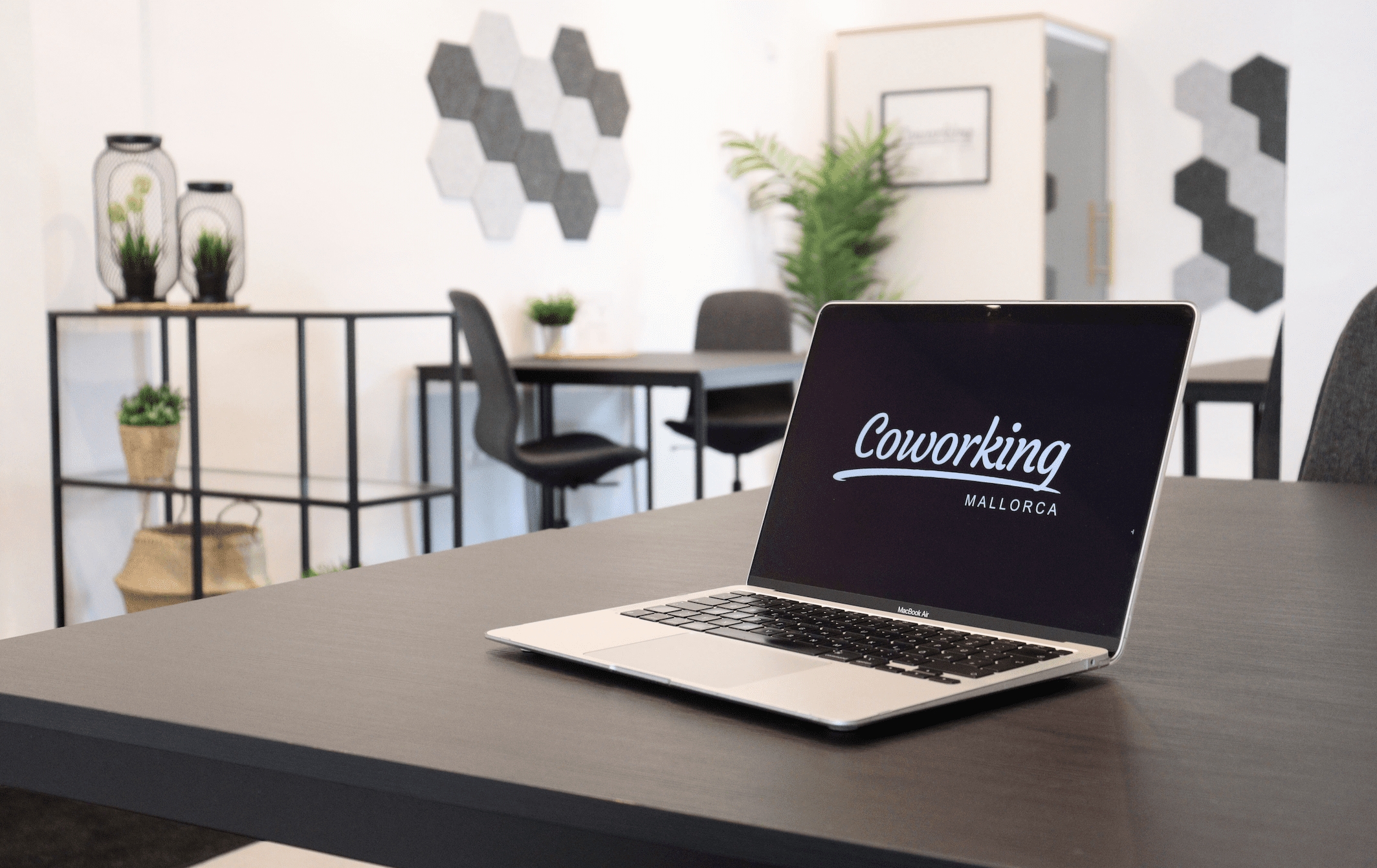 (Bildquelle: Coworking Mallorca) (Bildquelle: Coworking Mallorca)