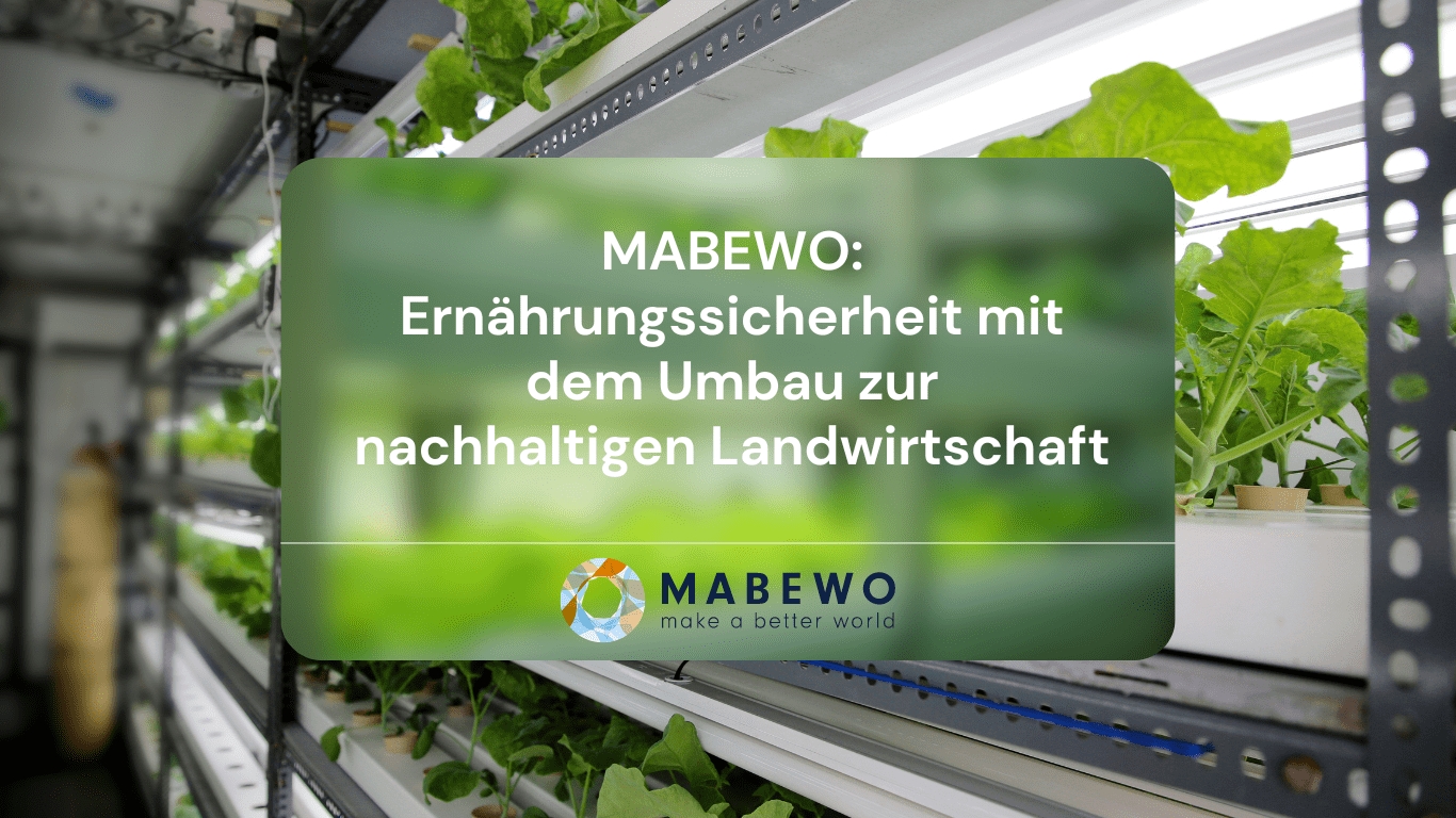 (Die Bildrechte liegen bei dem Verfasser der Mitteilung.)