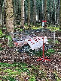 Entwurf für die Rauminstallation „Born to be alive“, Rechte Niclas Castello Entwurf für die Rauminstallation „Born to be alive“, Rechte Niclas Castello