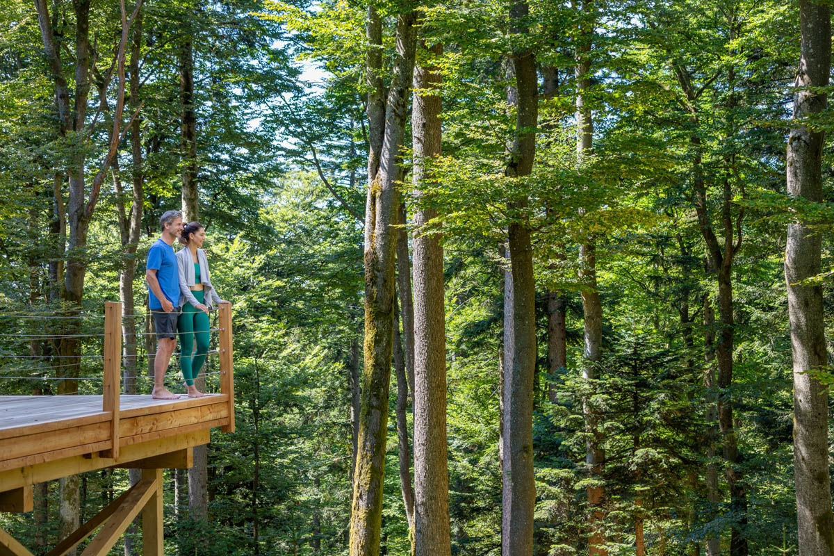 Oase der Ruhe - WaldSpa im Wellness& Naturresort Reischlhof (Die Bildrechte liegen bei dem Verfasser der Mitteilung.) Oase der Ruhe - WaldSpa im Wellness& Naturresort Reischlhof (Die Bildrechte liegen bei dem Verfasser der Mitteilung.)