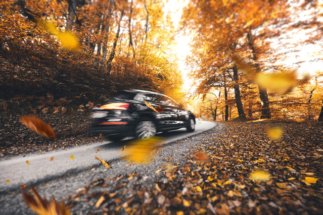 Herbstliches Wetter sorgt für rutschige Straßen und schlechte Sicht beim Autofahren. (Bildquelle: ERGO Group) Herbstliches Wetter sorgt für rutschige Straßen und schlechte Sicht beim Autofahren. (Bildquelle: ERGO Group)