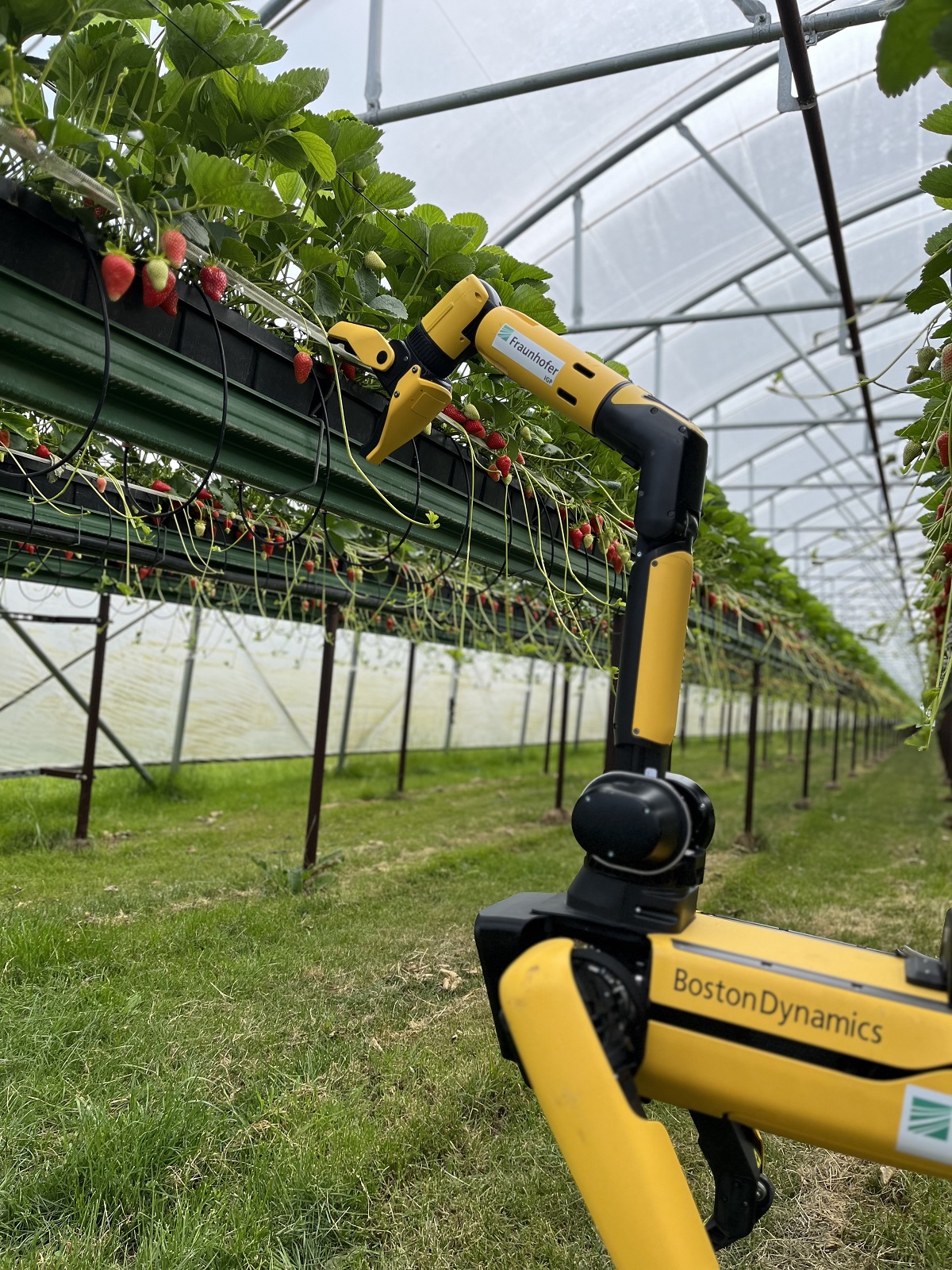 Biogene Wertschöpfung und Smart Farming - Fraunhofer auf der MeLa 2023 Biogene Wertschöpfung und Smart Farming - Fraunhofer auf der MeLa 2023