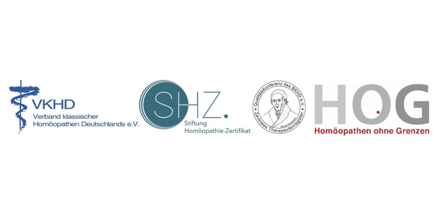 Die beteiligten Organisationen VKHD, SHZ, QBKHD, HOG (Die Bildrechte liegen bei dem Verfasser der Mitteilung.)