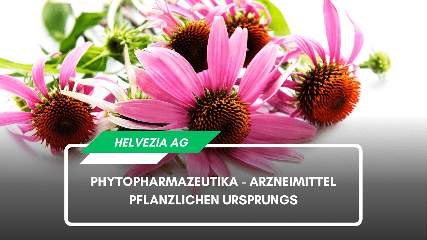 Helvezia AG - Phytopharmazeutika (Die Bildrechte liegen bei dem Verfasser der Mitteilung.)