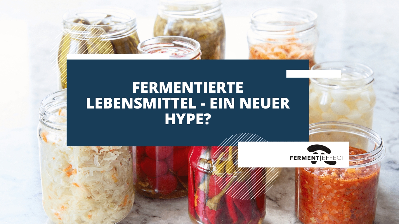 Ferment Effect - Fermentation Lebensmittel (Die Bildrechte liegen bei dem Verfasser der Mitteilung.)