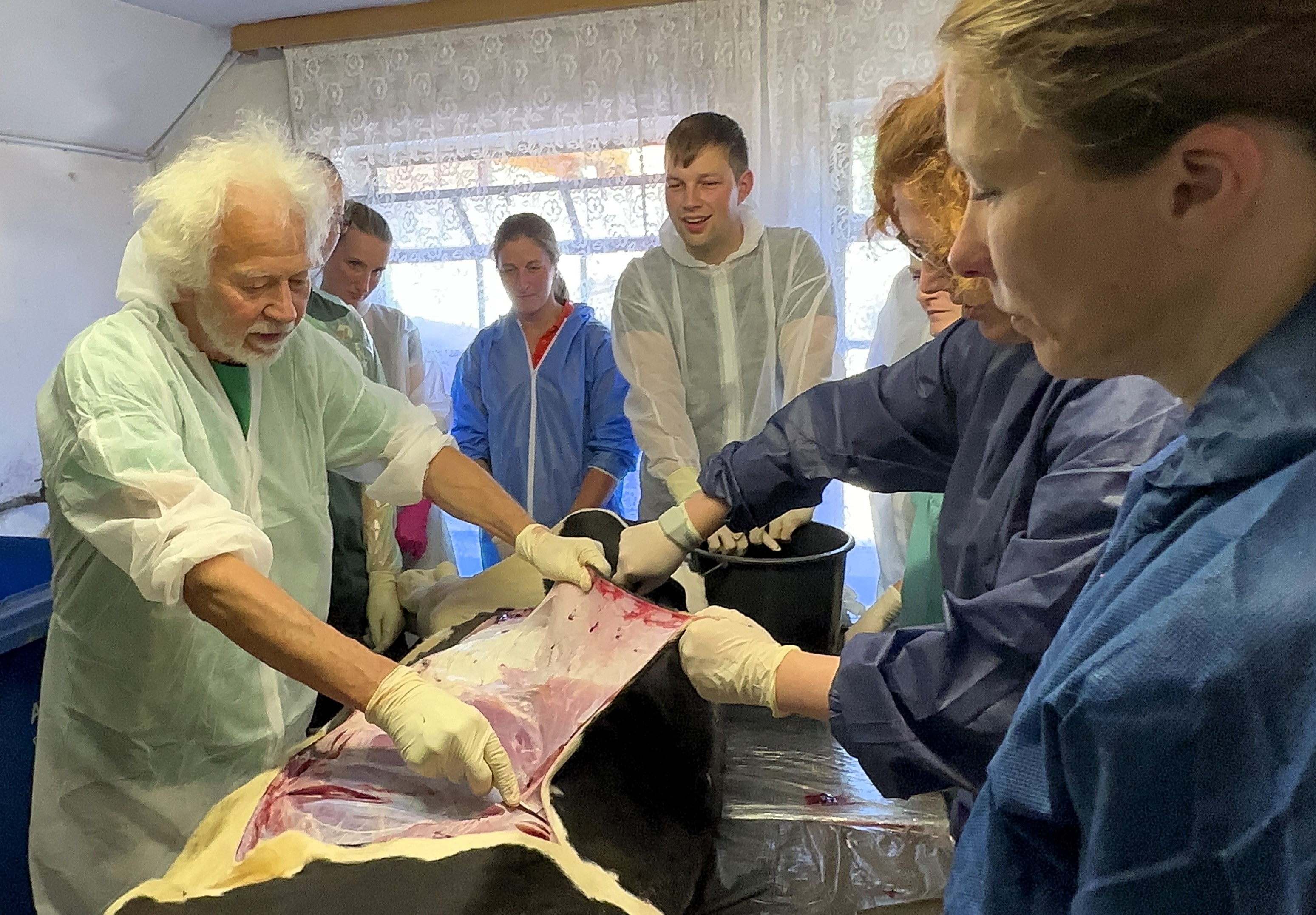 Praktische Übungen sind das Highlight des 4-tägigen AVA-Intensiv-Workshops für die Tierärzte Praktische Übungen sind das Highlight des 4-tägigen AVA-Intensiv-Workshops für die Tierärzte