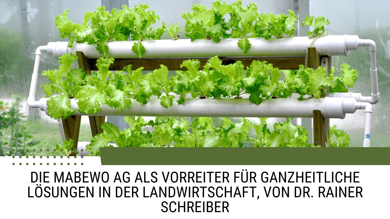 (Die Bildrechte liegen bei dem Verfasser der Mitteilung.) (Die Bildrechte liegen bei dem Verfasser der Mitteilung.)