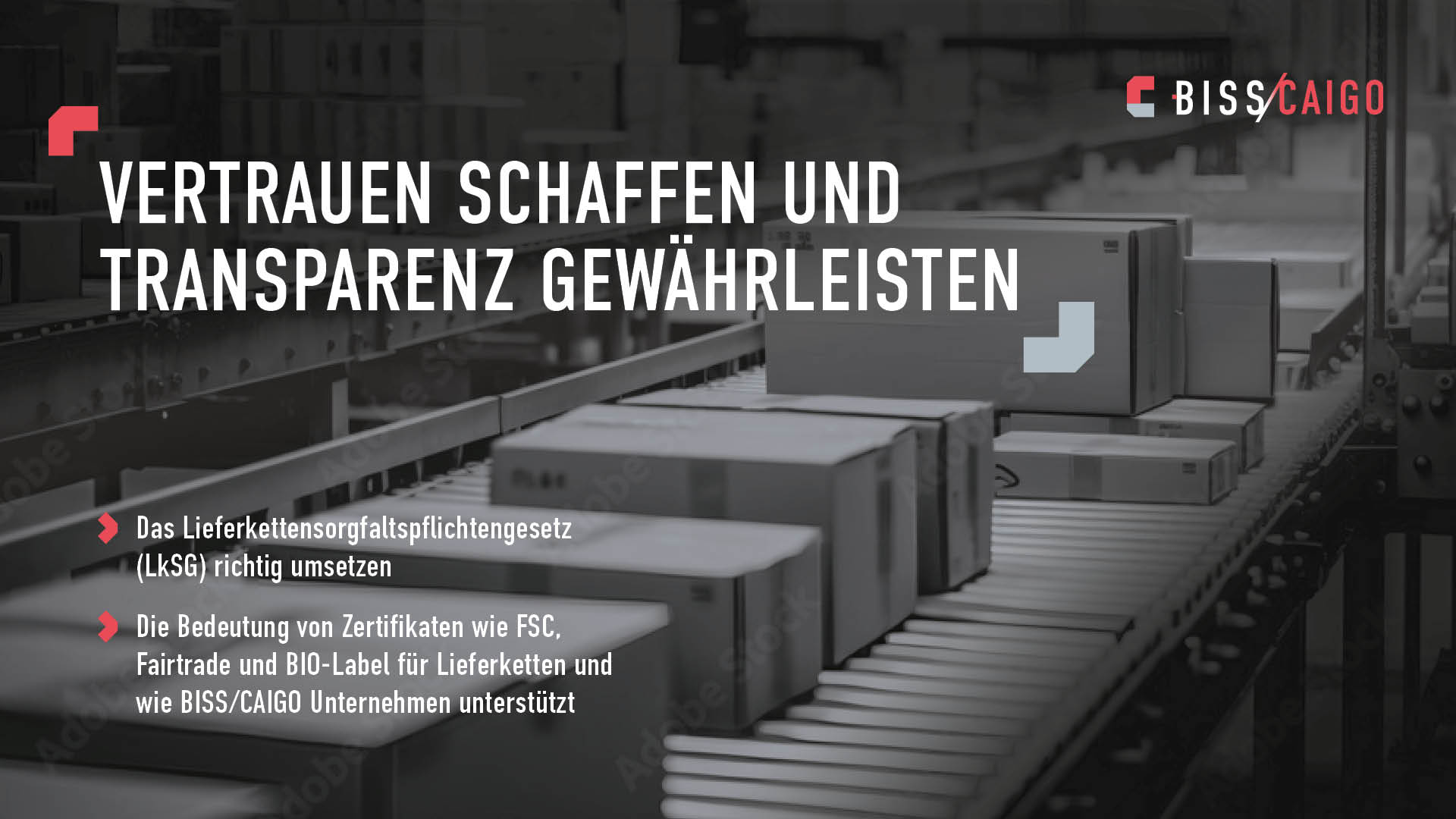 Vertrauen schaffen und Transparenz gewährleisten - Die Bedeutung von Zertifikaten wie FSC, Fairtrade, BIO-Label für Lieferketten
