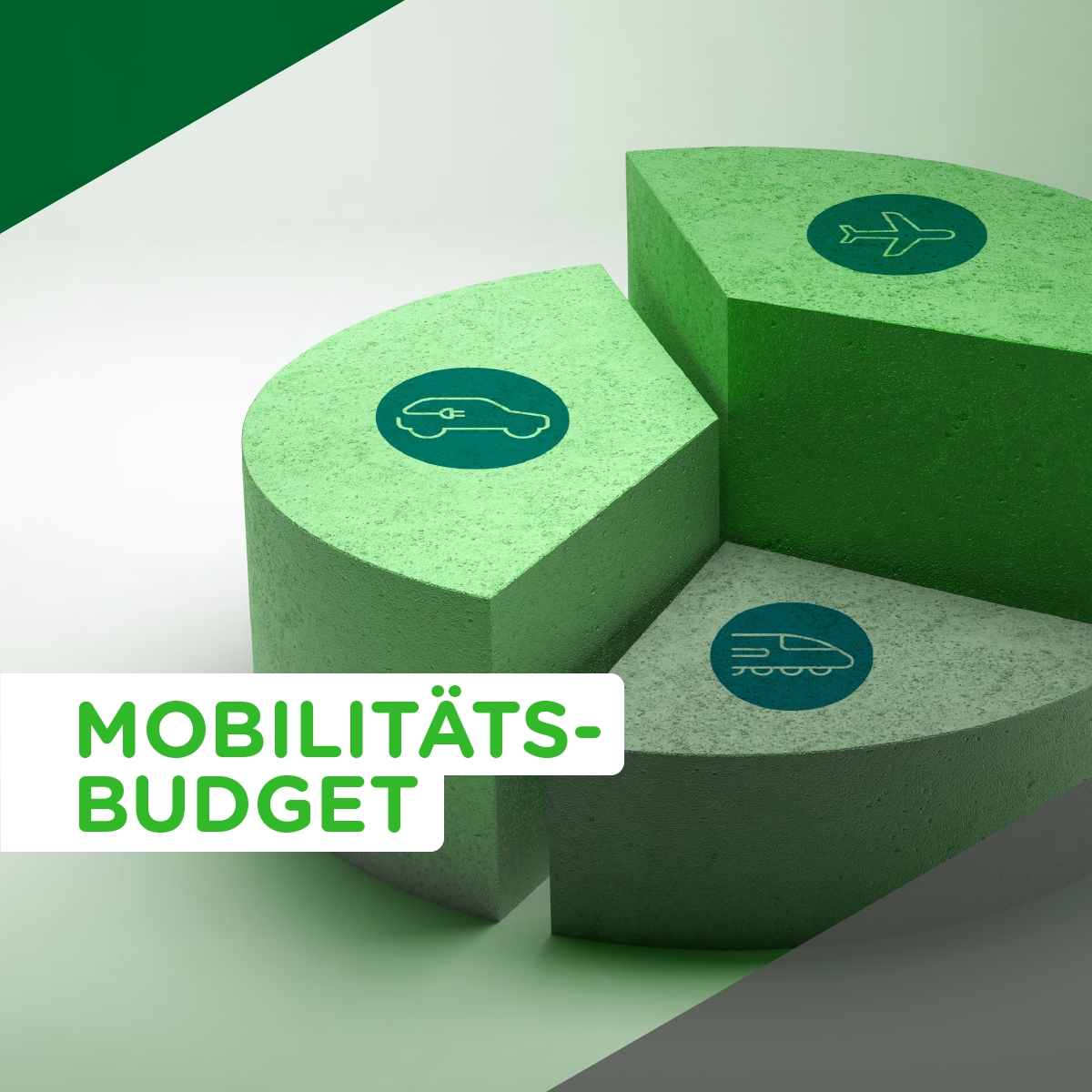 Der Mobilitätsverband bietet ab sofort einen Selbstlernkurs zur Einführung von Mobilitätsbudgets. (Die Bildrechte liegen bei dem Verfasser der Mitteilung.)