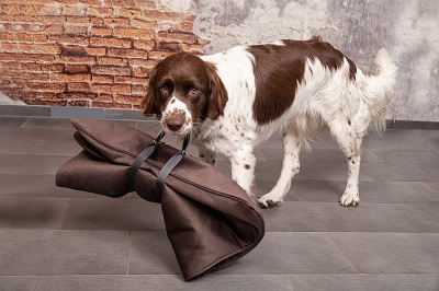 Exklusive Hundedecken in Premium Qualität (Die Bildrechte liegen bei dem Verfasser der Mitteilung.)