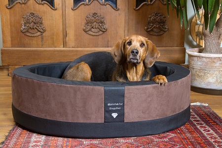 Der Perfekte Hundekorb (Die Bildrechte liegen bei dem Verfasser der Mitteilung.)