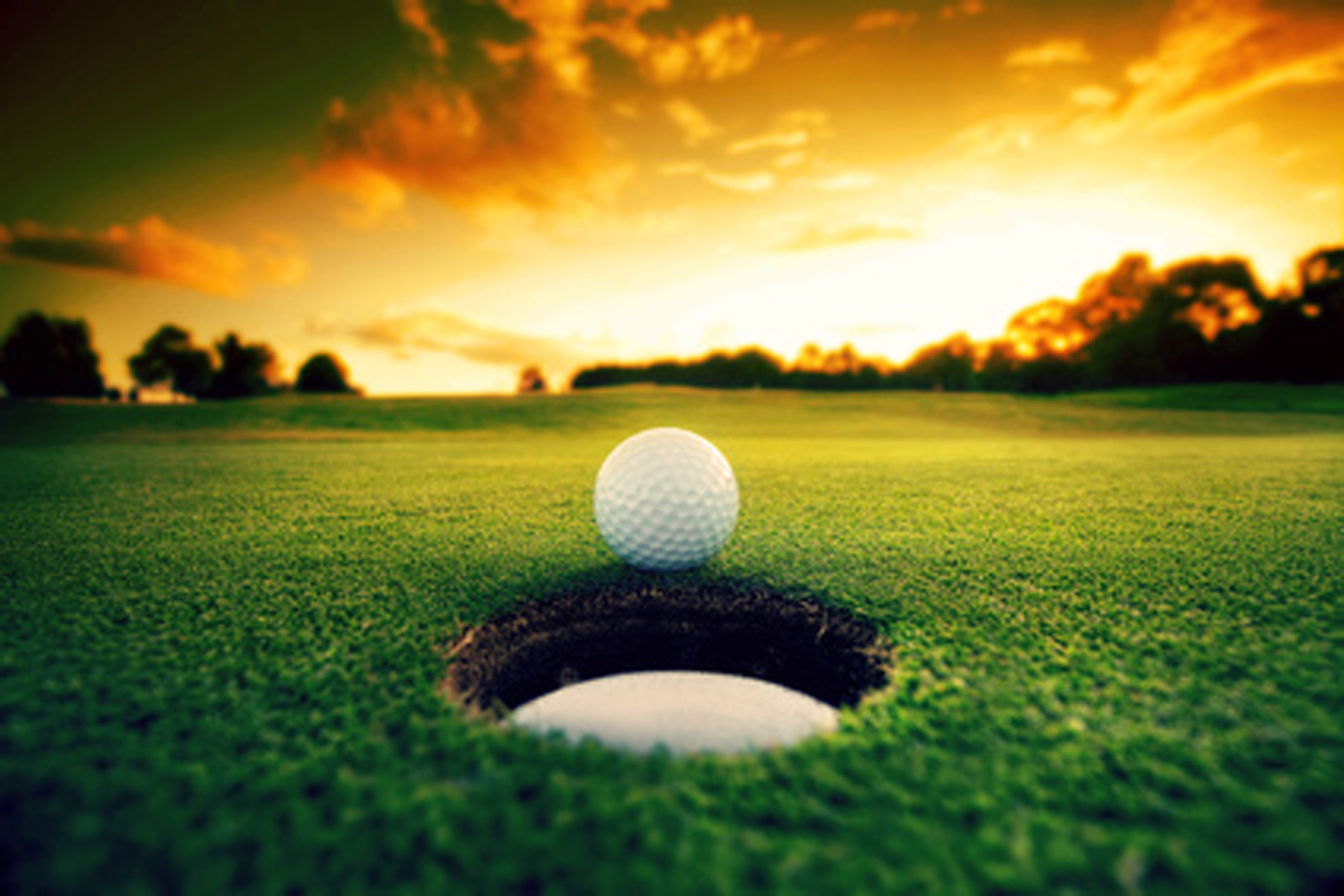 Golfhotel Freiburg Golfhotel Freiburg