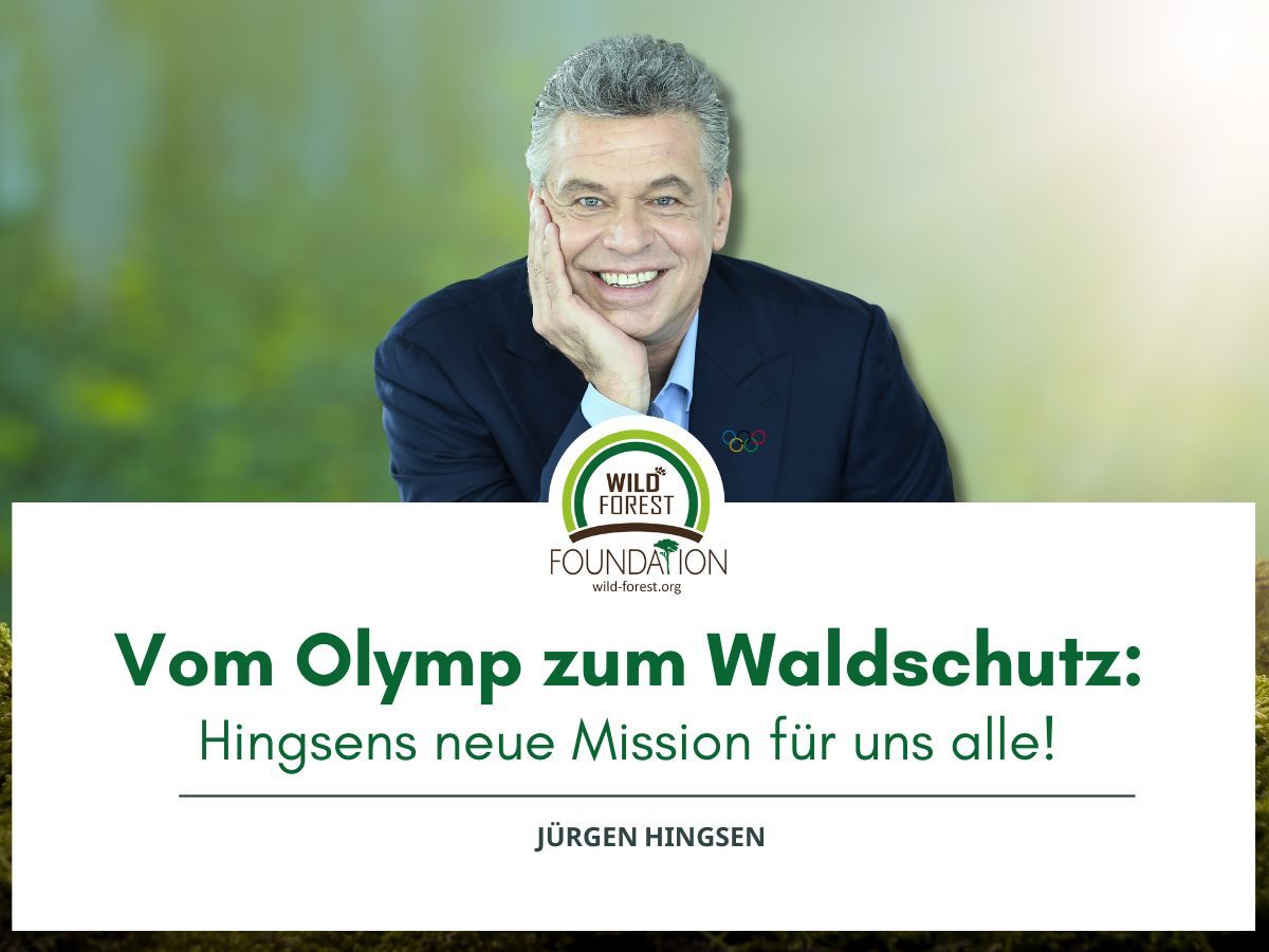 Vom Olymp zum Waldschutz: Hingsens neue Mission! (Jürgen Hingsen & Wild Forest Forest Foundation) (© ) Vom Olymp zum Waldschutz: Hingsens neue Mission! (Jürgen Hingsen & Wild Forest Forest Foundation) (© )