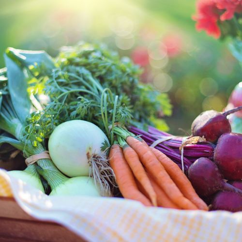 Dörthe Priesmeier Superfood (Die Bildrechte liegen bei dem Verfasser der Mitteilung.) Dörthe Priesmeier Superfood (Die Bildrechte liegen bei dem Verfasser der Mitteilung.)