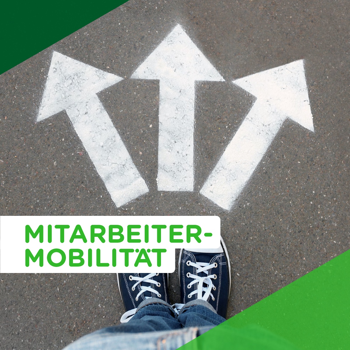 Der BBM lädt gemeinsam mit der GLS Mobility GmbH zur Studie zum Thema Mitarbeitermobilität ein. (Die Bildrechte liegen bei dem Verfasser der Mitteilung.)