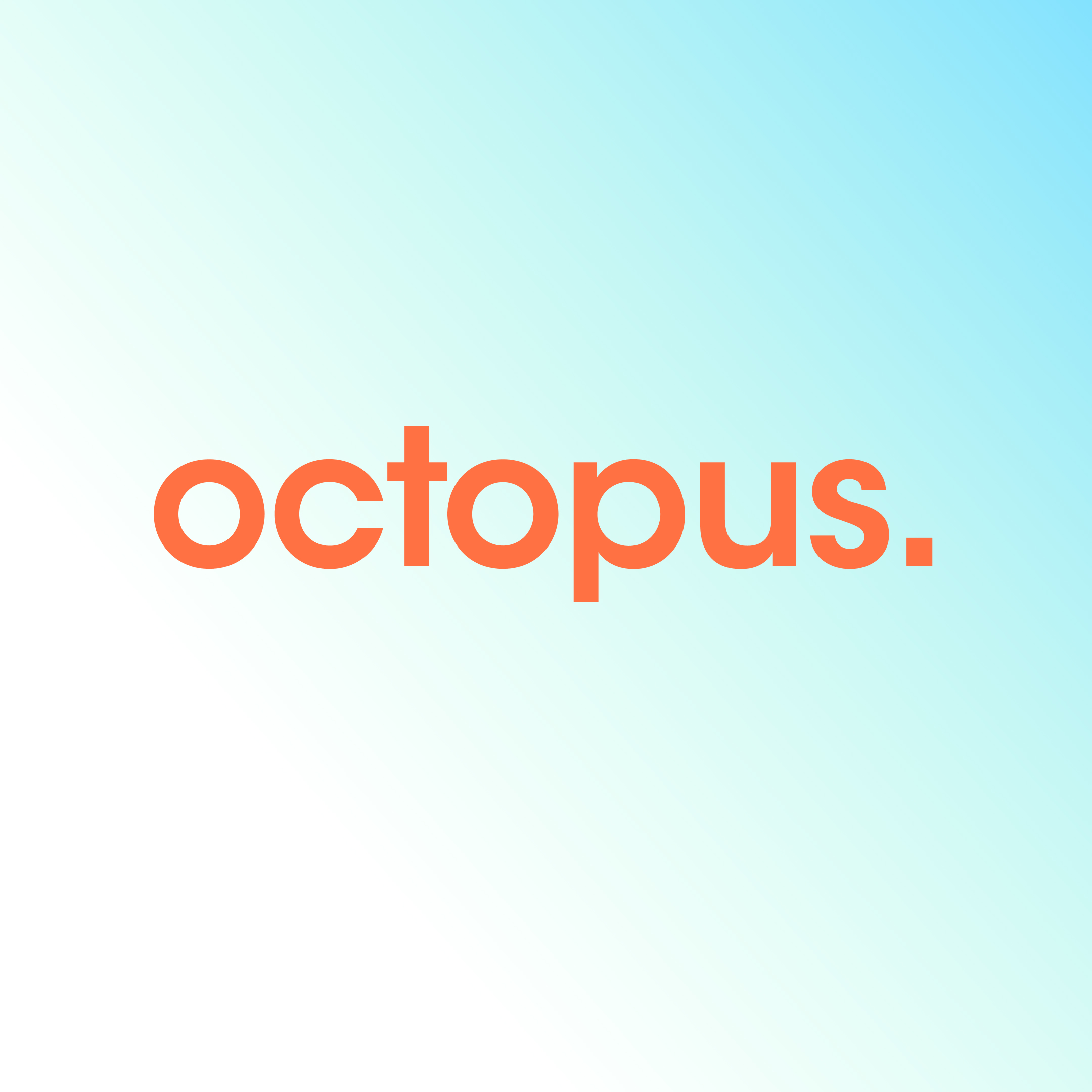 www.octopus-international.de (Die Bildrechte liegen bei dem Verfasser der Mitteilung.)