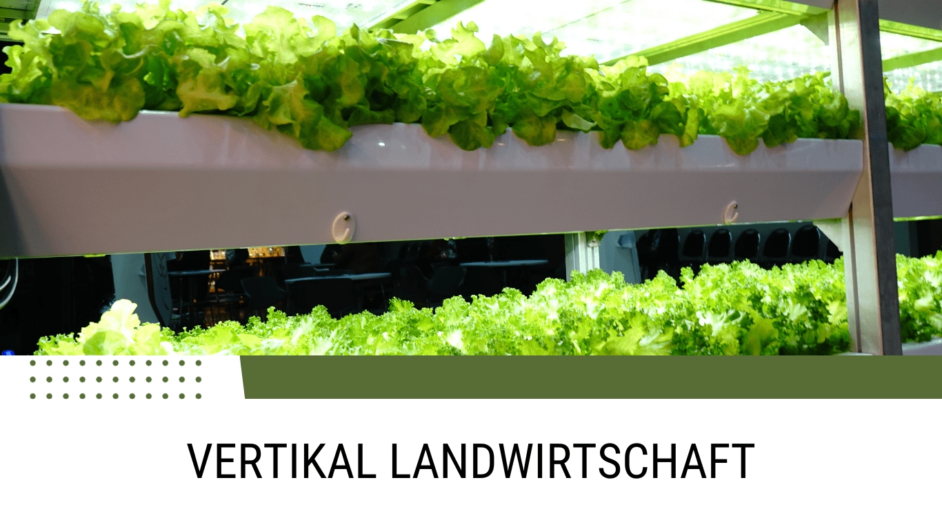 MABEWO - Vertikale Landwirtschaft (Die Bildrechte liegen bei dem Verfasser der Mitteilung.) MABEWO - Vertikale Landwirtschaft (Die Bildrechte liegen bei dem Verfasser der Mitteilung.)