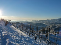 Verschneites Winterparadies (Ratscher Landhaus)