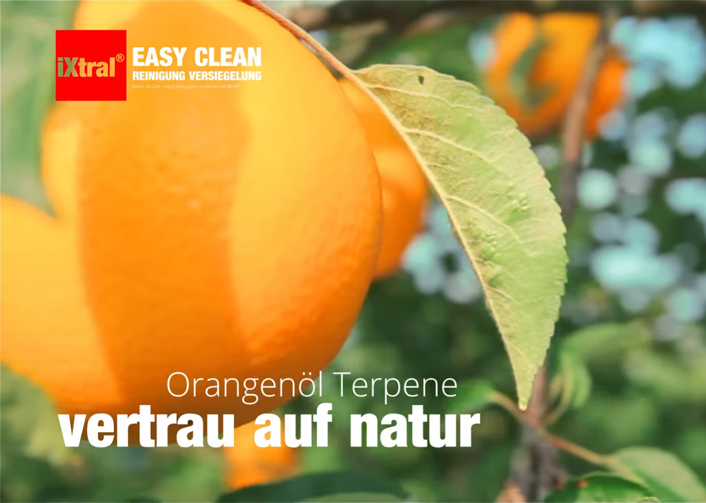 Vertrau auf die Natur - Orangenterpene Konzentrat (Die Bildrechte liegen bei dem Verfasser der Mitteilung.) Vertrau auf die Natur - Orangenterpene Konzentrat (Die Bildrechte liegen bei dem Verfasser der Mitteilung.)
