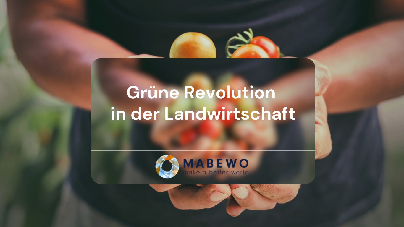 MABEWO - Gru?ne Landwirtschaft (Die Bildrechte liegen bei dem Verfasser der Mitteilung.) MABEWO - Gru?ne Landwirtschaft (Die Bildrechte liegen bei dem Verfasser der Mitteilung.)