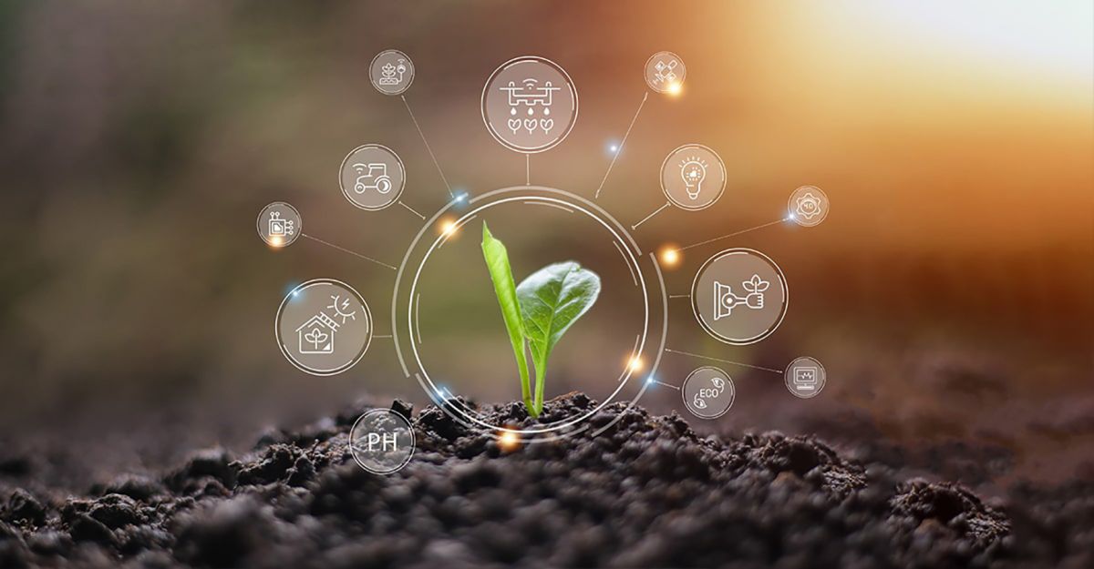 SEEDS - Smarte und effiziente Landwirtschaft durch den Einsatz digitaler Schlüsseltechnologien (© stock.adobe.com)