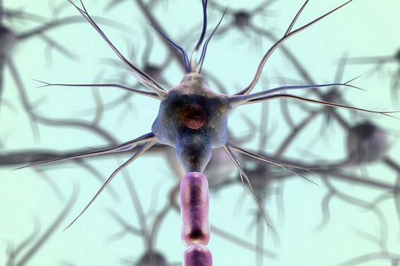 Schmerztherapie durch Neurostimulation im Rücken